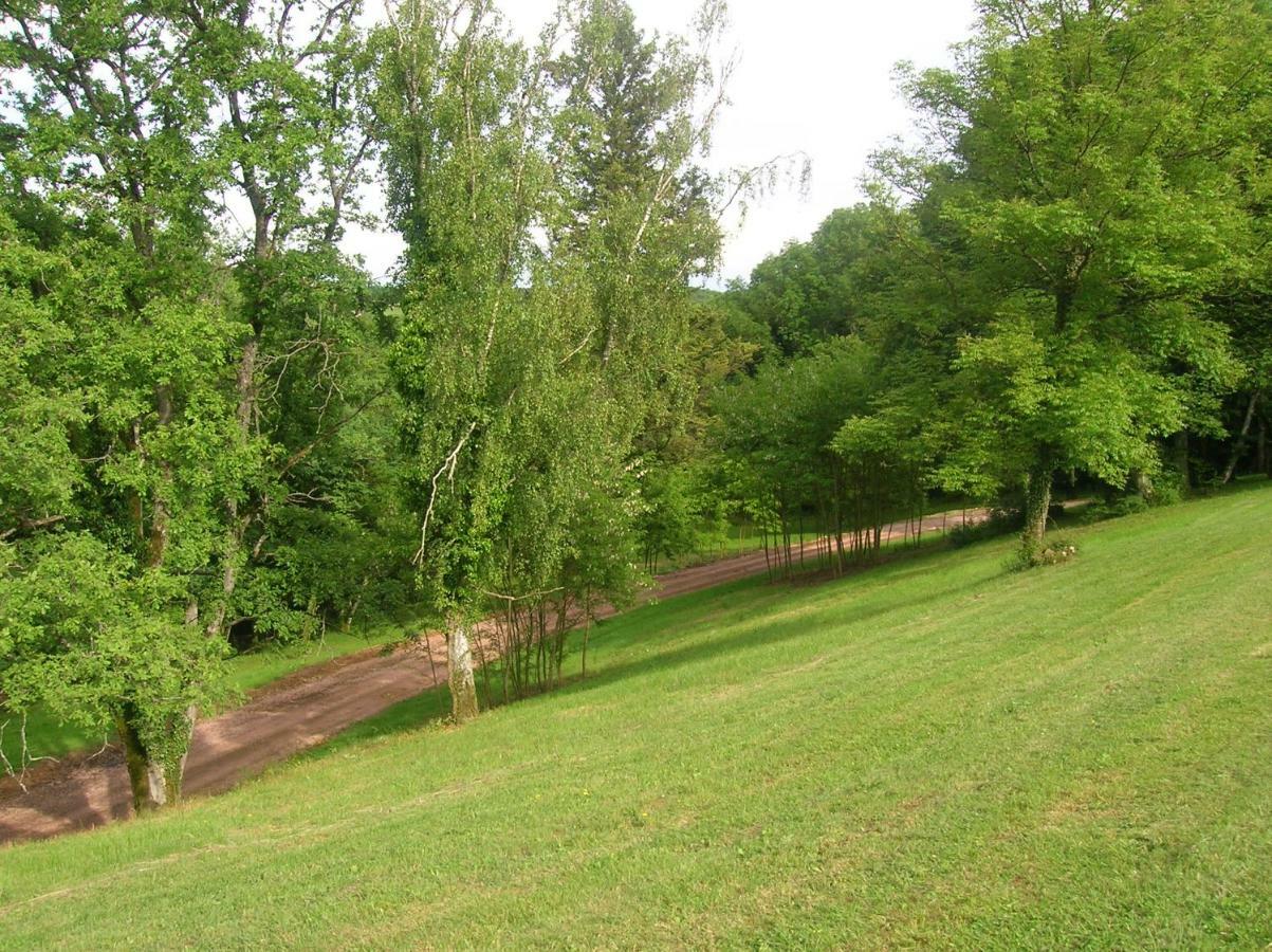 Le Domaine De Rochefort Dissangis Exterior foto